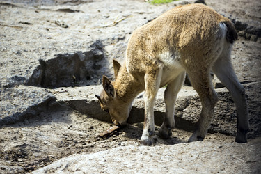 Similar image 13280017