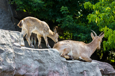 Similar image 13280018