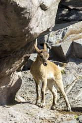 Similar image 13280019