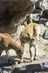 Similar image 13280020