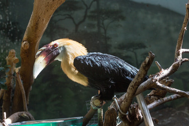 Similar image 13280023