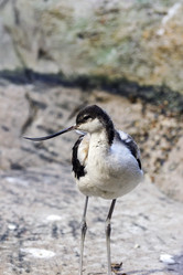 Similar image 13280024