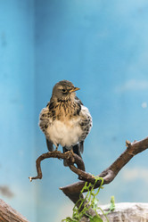 Similar image 13280025