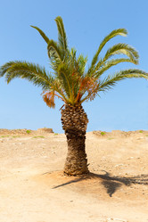 Similar image 13286007