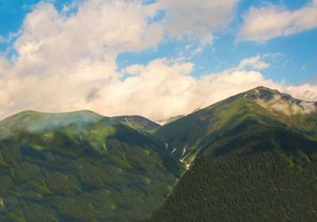 Similar image 13286009