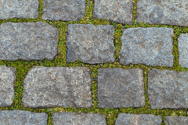 Similar image 13285985