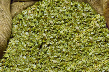 Similar image 13286010