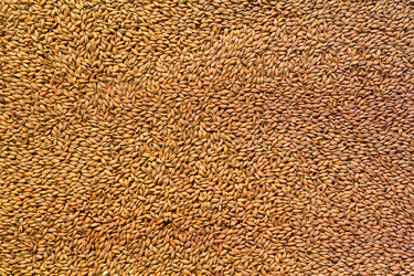 Similar image 13286011