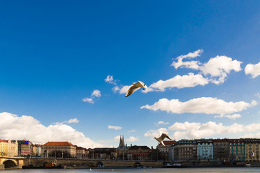 Similar image 13286014