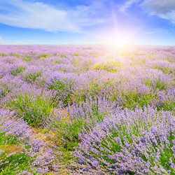 Similar image 13280050