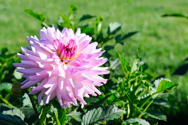 Similar image 13280055