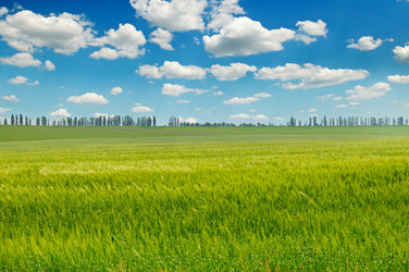 Similar image 13280036