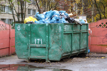 Similar image 13279884