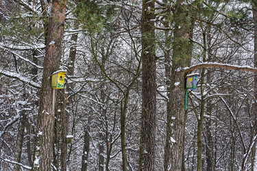 Similar image 13279865