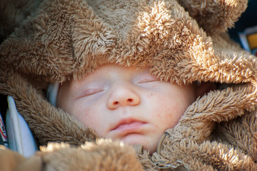 Similar image 13278722