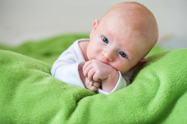 Similar image 13278730