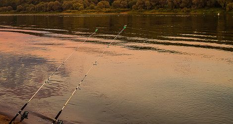 Similar image 13286031