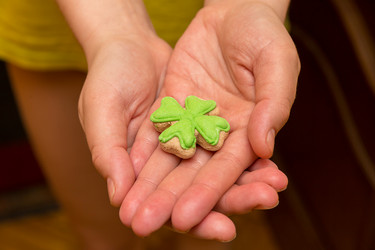 Similar image 13286052