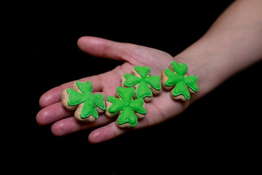 Similar image 13286089