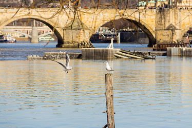 Similar image 13286096