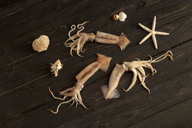 Similar image 13280028