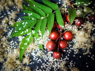 Similar image 13279867