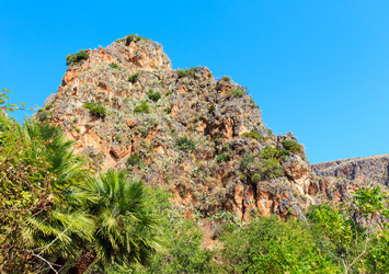 Similar image 13282635