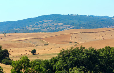 Similar image 13281861