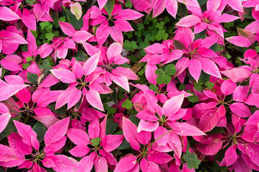 Similar image 13281820