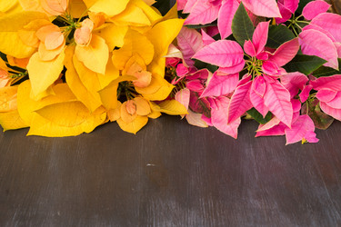 Similar image 13281830