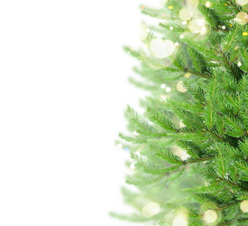 Similar image 13281536