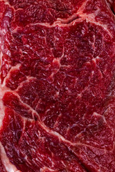 Similar image 13281660