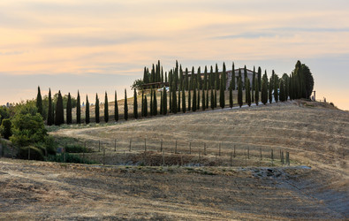 Similar image 13281914