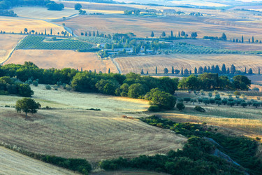 Similar image 13281931