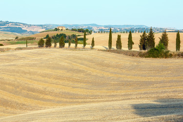 Similar image 13281934