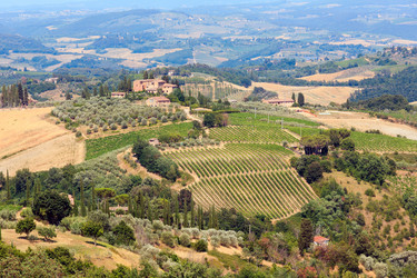 Similar image 13282607