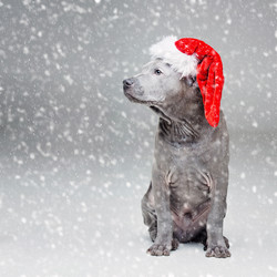 Similar image 13281328