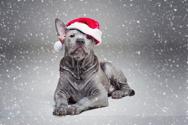 Similar image 13281360