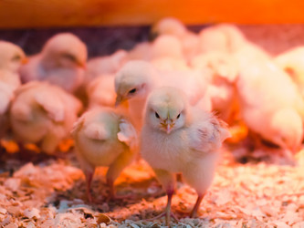 Similar image 13280047