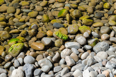 Similar image 13280053