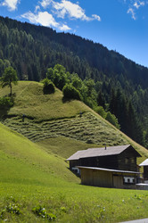 Similar image 13283714