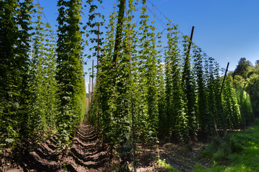 Similar image 13283716