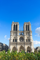 Similar image 13281730