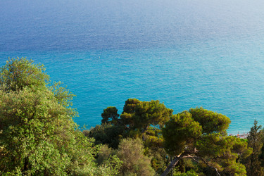 Similar image 13281545