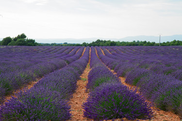 Similar image 13281679