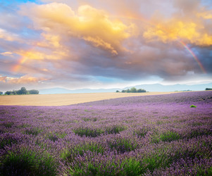 Similar image 13281750