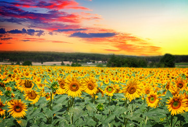 Similar image 13281755