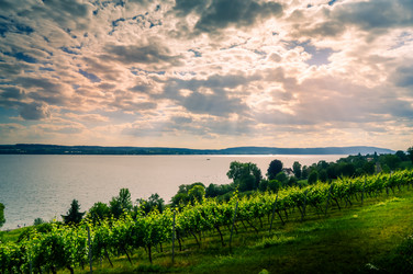 Similar image 13283720