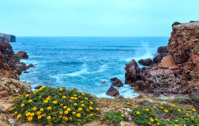 Similar image 13282588