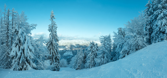 Similar image 13281983